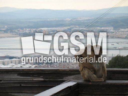 Spanien Andalusien Gibraltar 009.JPG